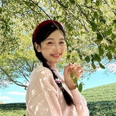 布公仔之金银岛