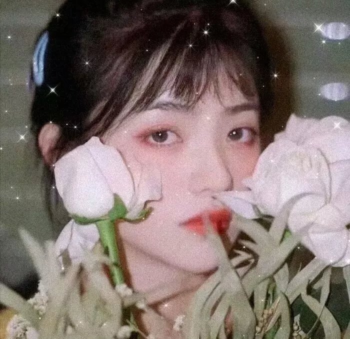球场上的朝阳